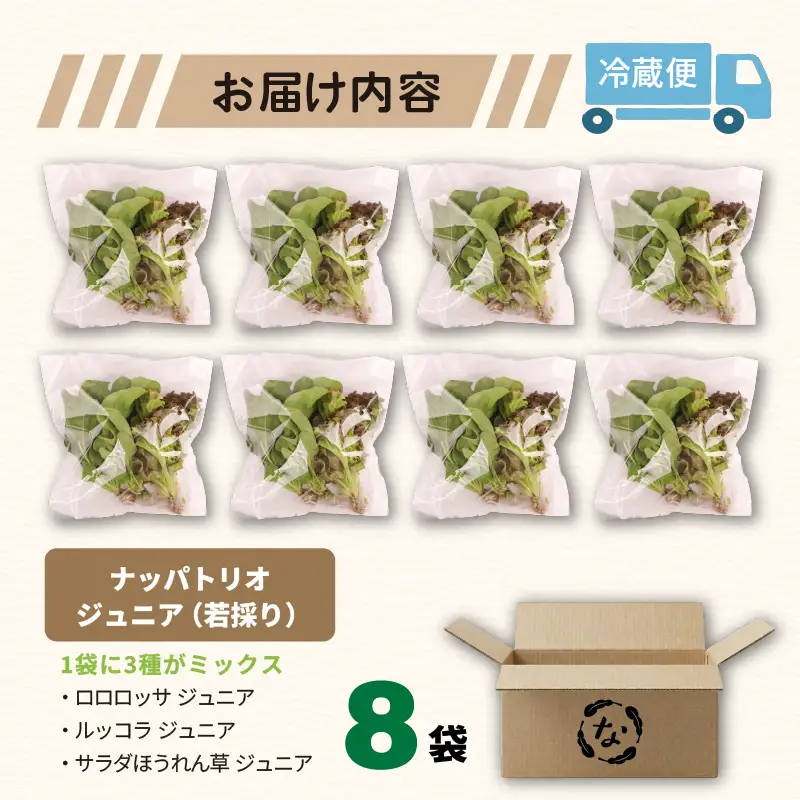 3種ミックス 若採り ルッコラ ほうれん草 みずな ジュニア | サラダ 水菜 水耕 葉物 野菜 南国市