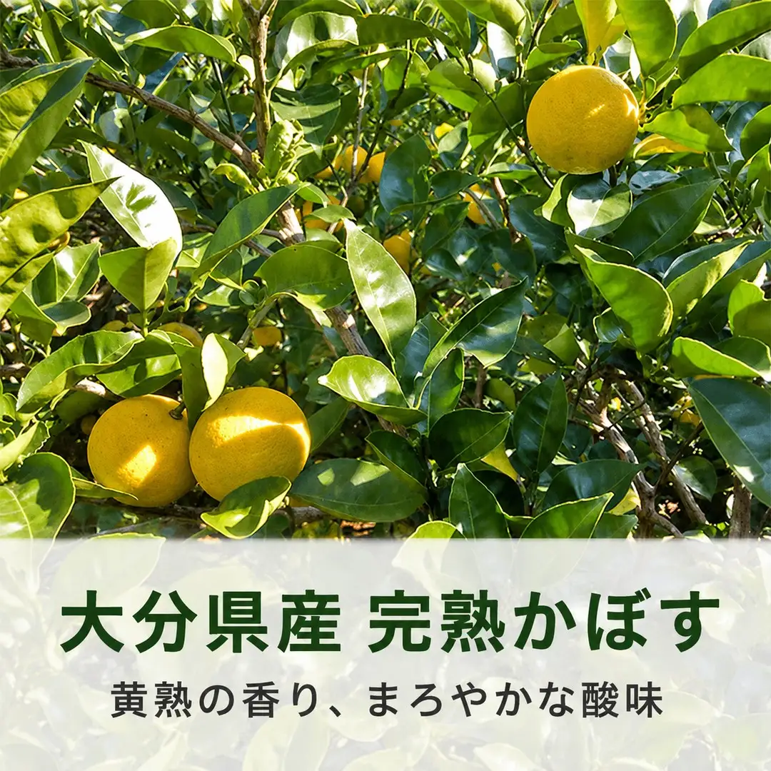 【数量限定】完熟かぼすミックスサワー350ml×24本