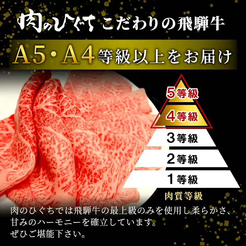 全3回 飛騨牛 ステーキ定期便 A5 A4 ステーキソース付き リブロースステーキ ももステーキ サーロインステーキ リブロース モモ サーロイン ステーキ 牛 冷凍 和牛 牛肉 にく お肉 肉 飛騨 霜降り 赤身 肉のひぐち