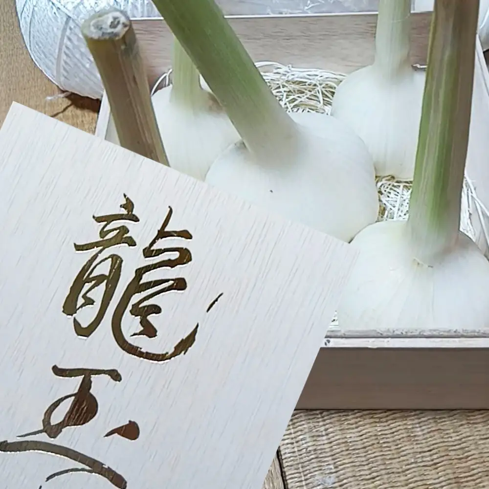 ジャンボニンニク「龍玉」無臭にんにく ／ にんにく ガーリック 龍玉 大粒にんにく 食べ応え にんにく料理 ホイル焼き ガーリックステーキ 丸ごとにんにく ごろっとにんにく 国産 産地直送 兵庫県 No.562