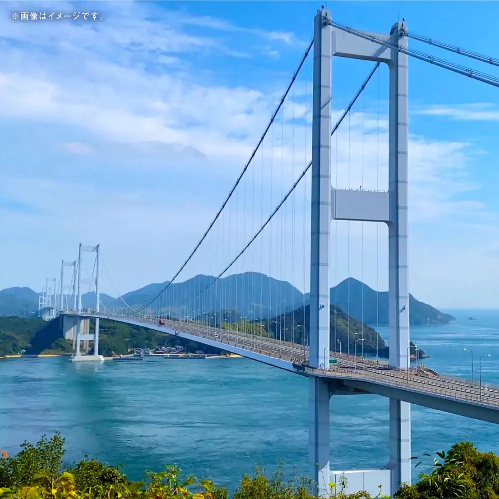 愛媛県内の宿泊施設に泊まるふるさと納税旅行クーポン 12,000円分 旅行クーポン 旅行券 クーポン 券 旅行 観光 国内旅行 家族旅行 ひとり旅 愛媛県旅行 宿泊 カップル 夫婦 親子 家族 ファミリー （ 1137 ）