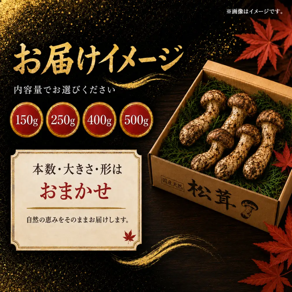 【先行予約】松茸 250g 岩手町産 天然 松茸