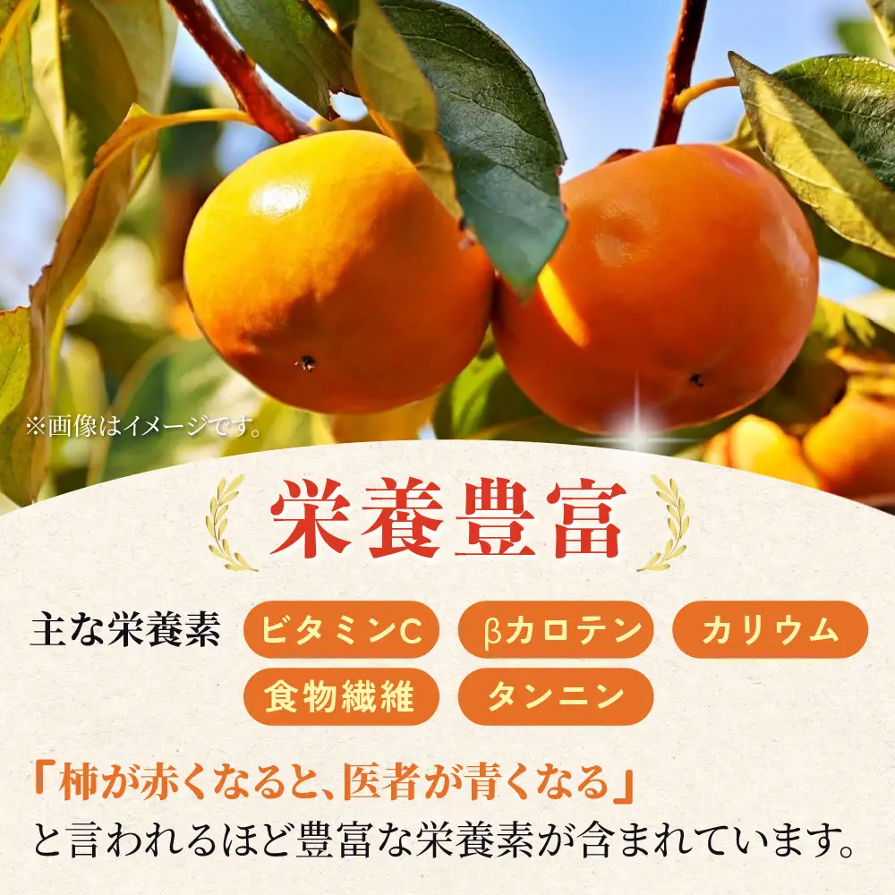 令和8年産 柿 11月～発送予定 訳あり 柿 富有柿 4kg mt2086 くどみフルーツ農園