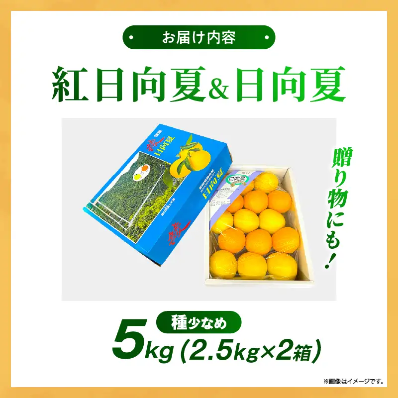 【先行予約】紅日向夏と日向夏の彩り箱 5kg 果物 フルーツ くだもの 柑橘 種少なめ フルーツサンド おやつ スイーツ デザート ジャム おすすめ ギフト 贈り物 贈答 プレゼント おすそ分け お返し 宮崎県 綾町 送料無料【JA綾町】_A0114-2461