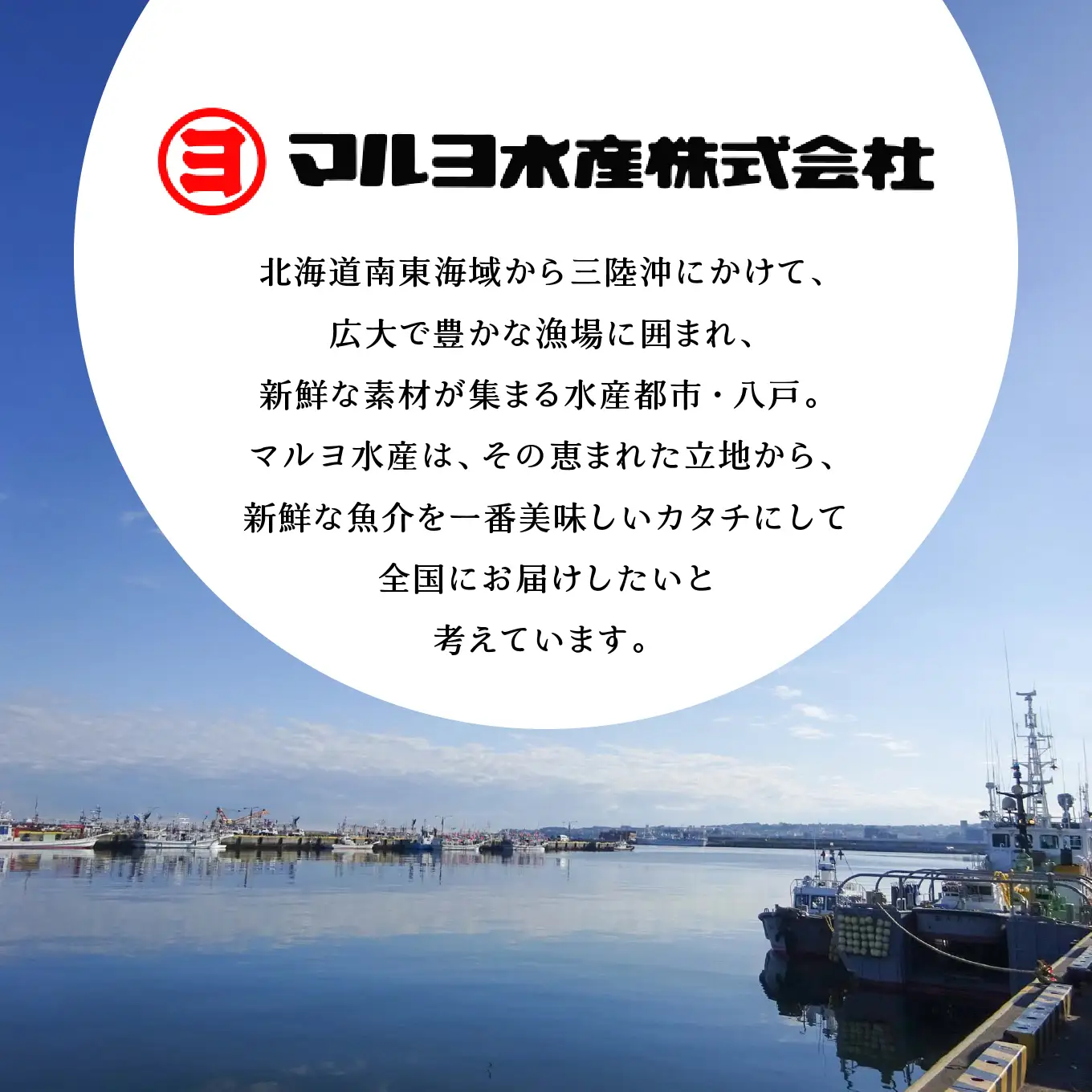 かもめちくわ 4本入×12パック マルヨ水産 竹輪 練り物 すけそうだら100％ DHA・はちみつ入り おつまみ おかず お弁当 珍味 高タンパク 産地直送 青森県 八戸市