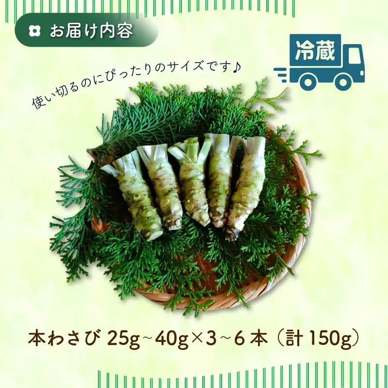 わさび 伊豆 下田 本わさび ワサビ 食べきりサイズ 計150g