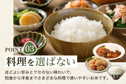 【ふるさと納税】ひのひかり 米 お米 白米 20kg 20キロ 福岡県産 うきは市 国産 精米 ご飯 ごはん おにぎり お弁当 人気 おすすめ 家庭用 送料無料 新米 ストック 厳選 農家直送 大容量【JA福岡くるめ にじの耳納の里】