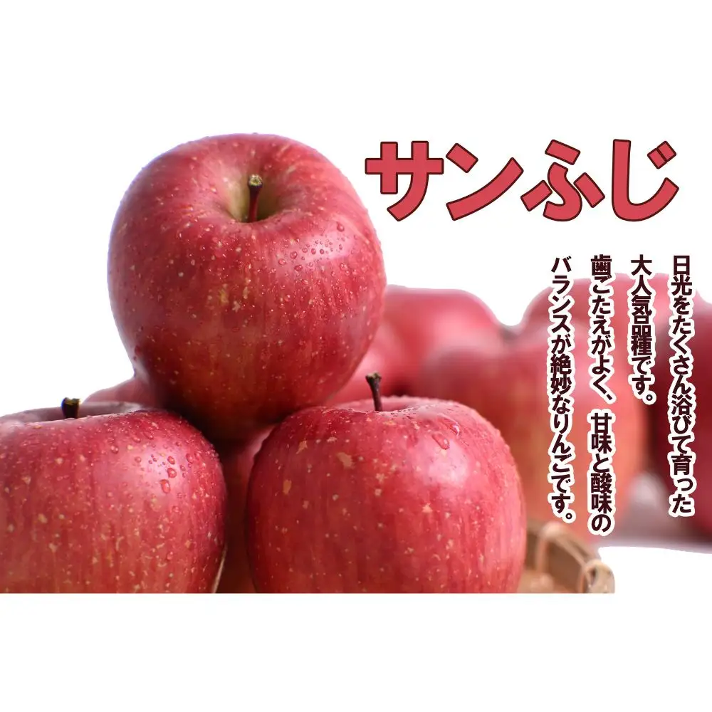 はるか×サンふじ定期便（各３kg）【2026年産・先行予約】