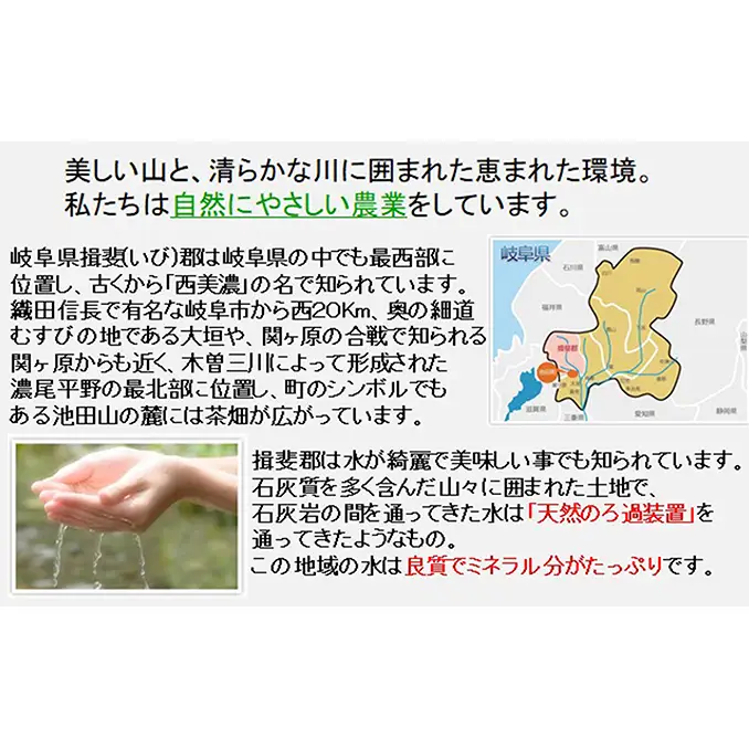 定期便 4カ月【 令和8年産 】毎月  精米 10kg（ 白米 /7分/ 5分 ツキ可）【 コシヒカリ 】玄米は別に出品