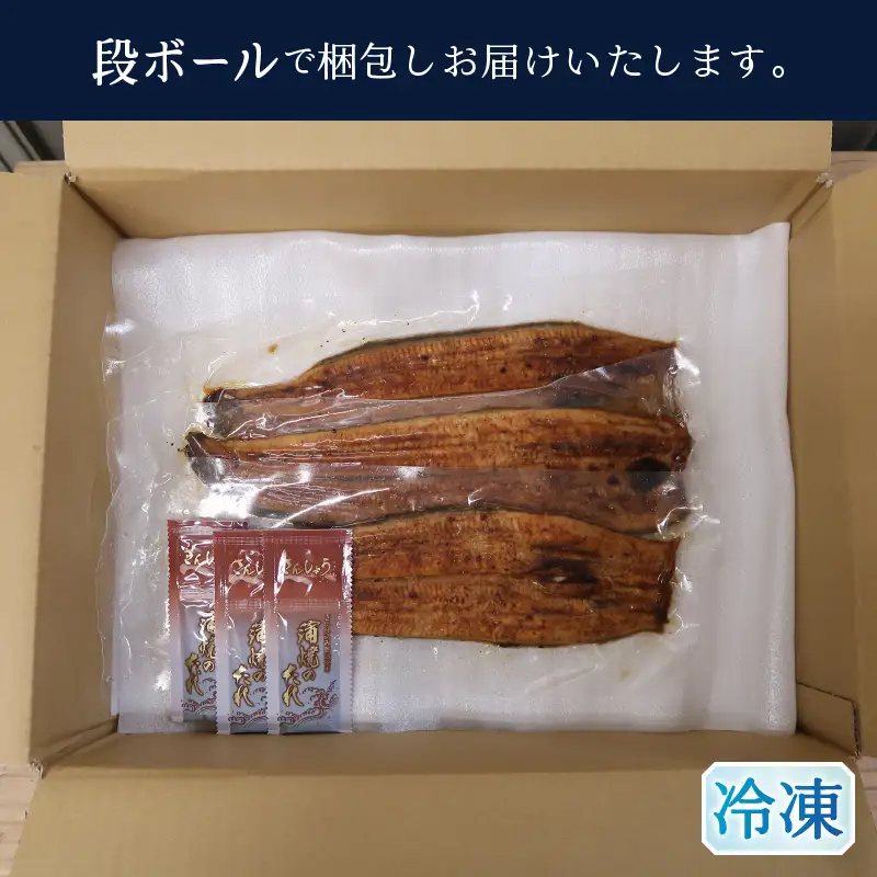 【定期便】静岡県産　うなぎ蒲焼き 3本×2回 (a50-152)