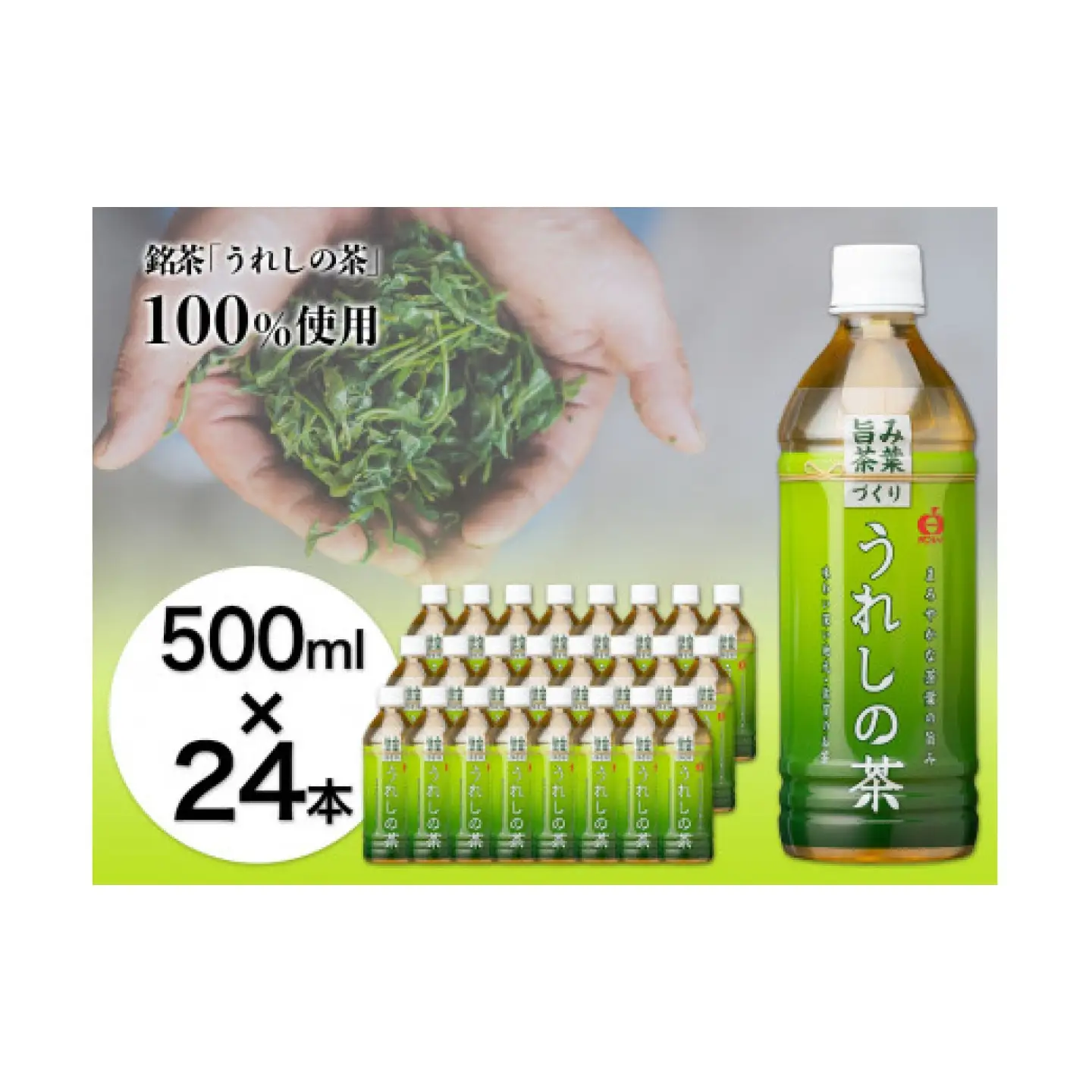 うれしの茶 500ml×24本入 / お茶 緑茶 嬉野茶 ペットボトル / 佐賀県 / さが風土館季楽[41AABE106]