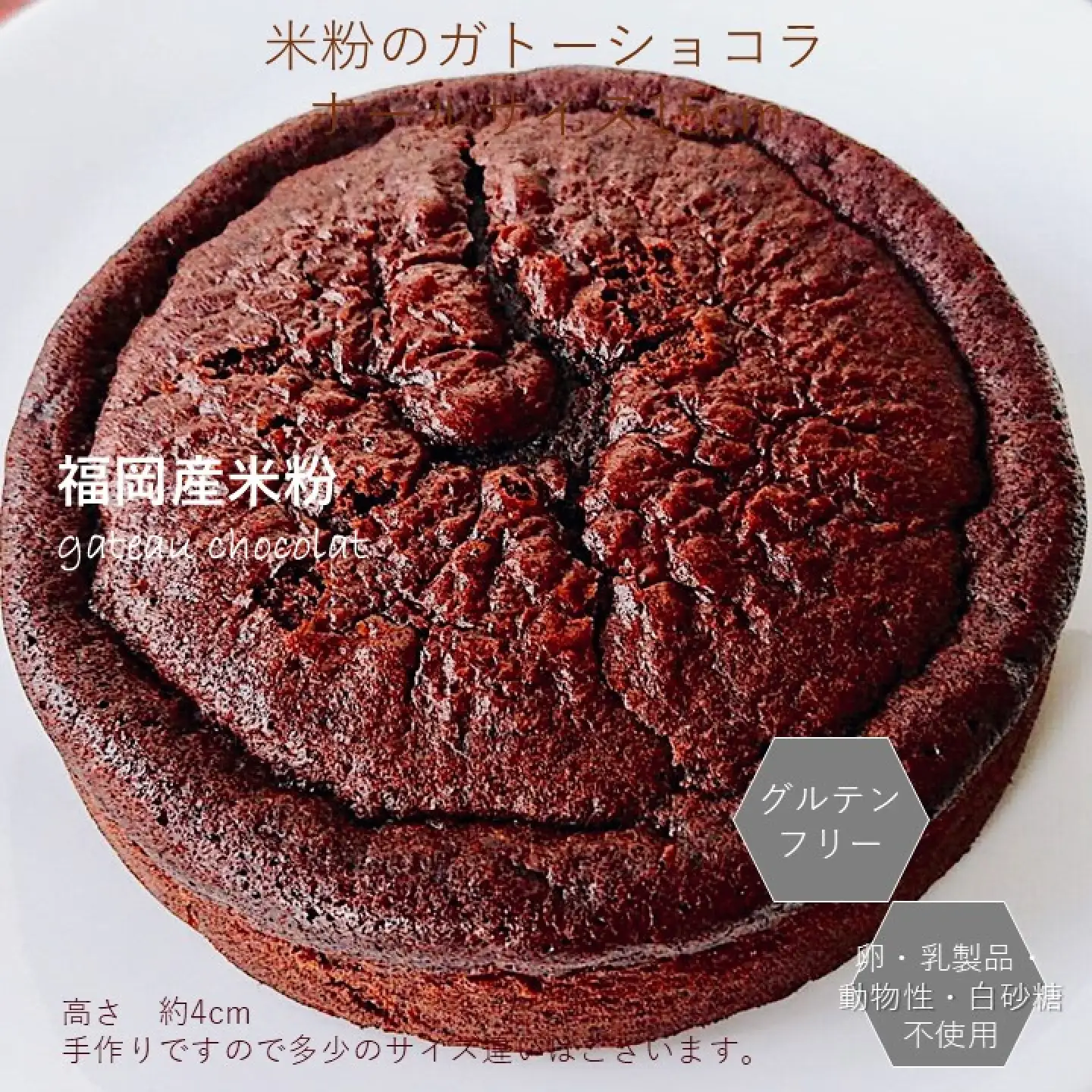 米粉のガトーショコラ 18cmホール / グルテンフリー ヴィーガン ケーキ スイーツ / 佐賀県 / 株式会社santecafeまる[41AHAF005]