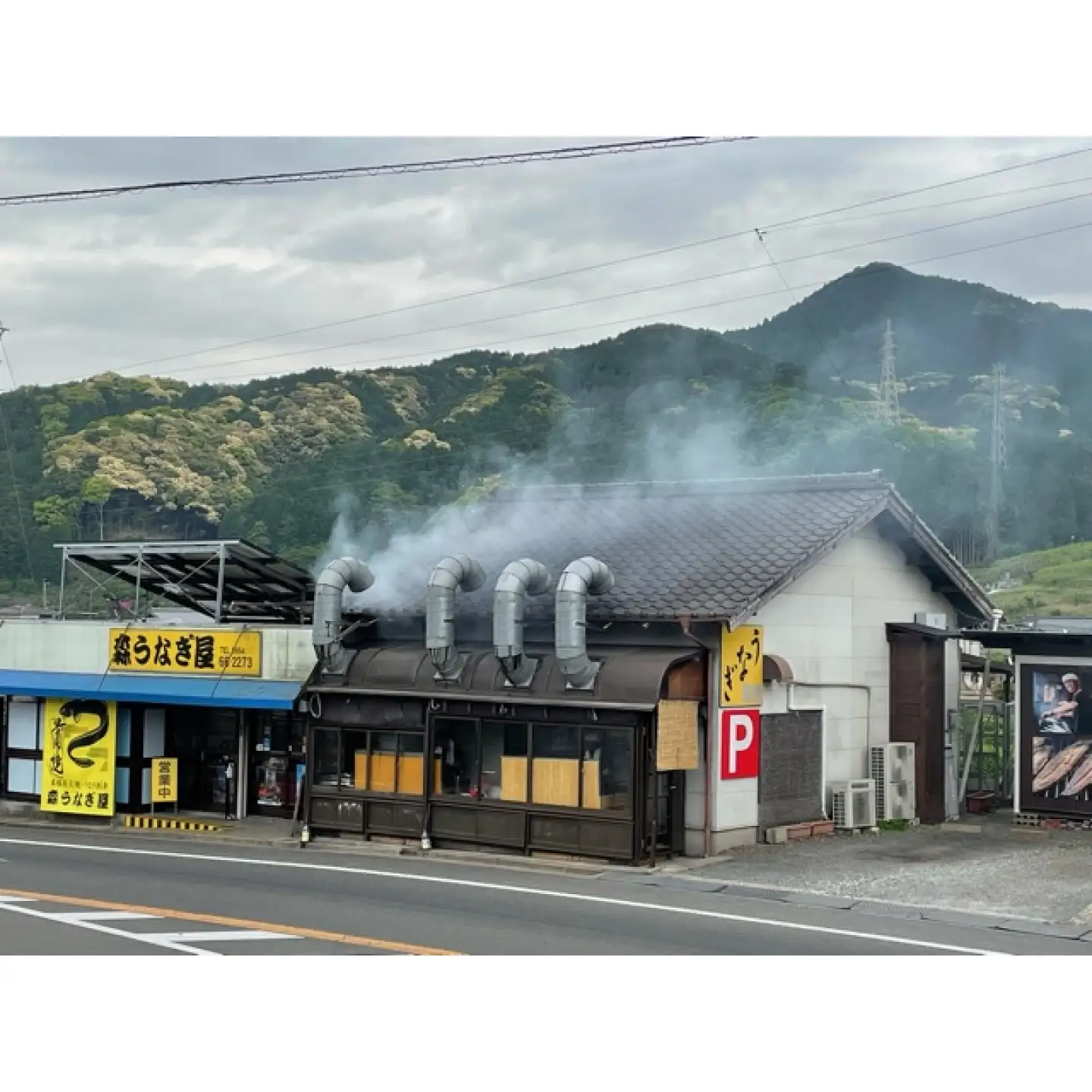 国産 特大 うなぎの蒲焼き 3尾（約220g×3） タレ付き / 鰻 土用丑の日 蒲焼き / 佐賀県 / 株式会社森うなぎ屋[41AIAE004]