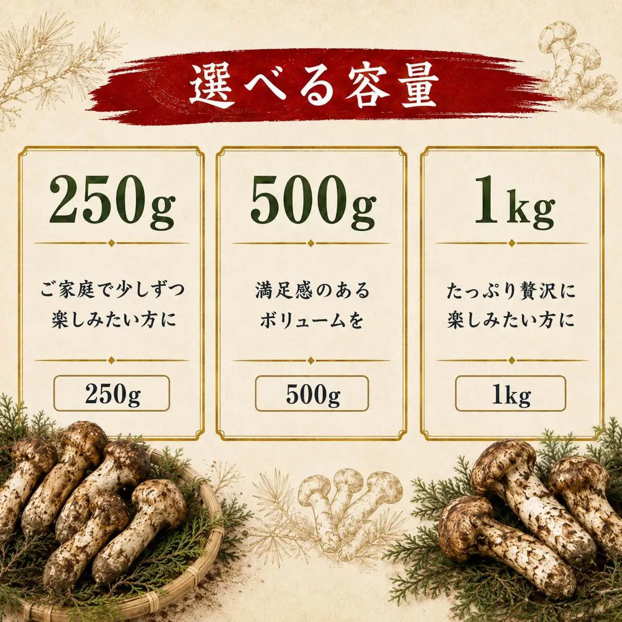 【先行予約】松茸 訳あり 500g 岩手町産 松茸