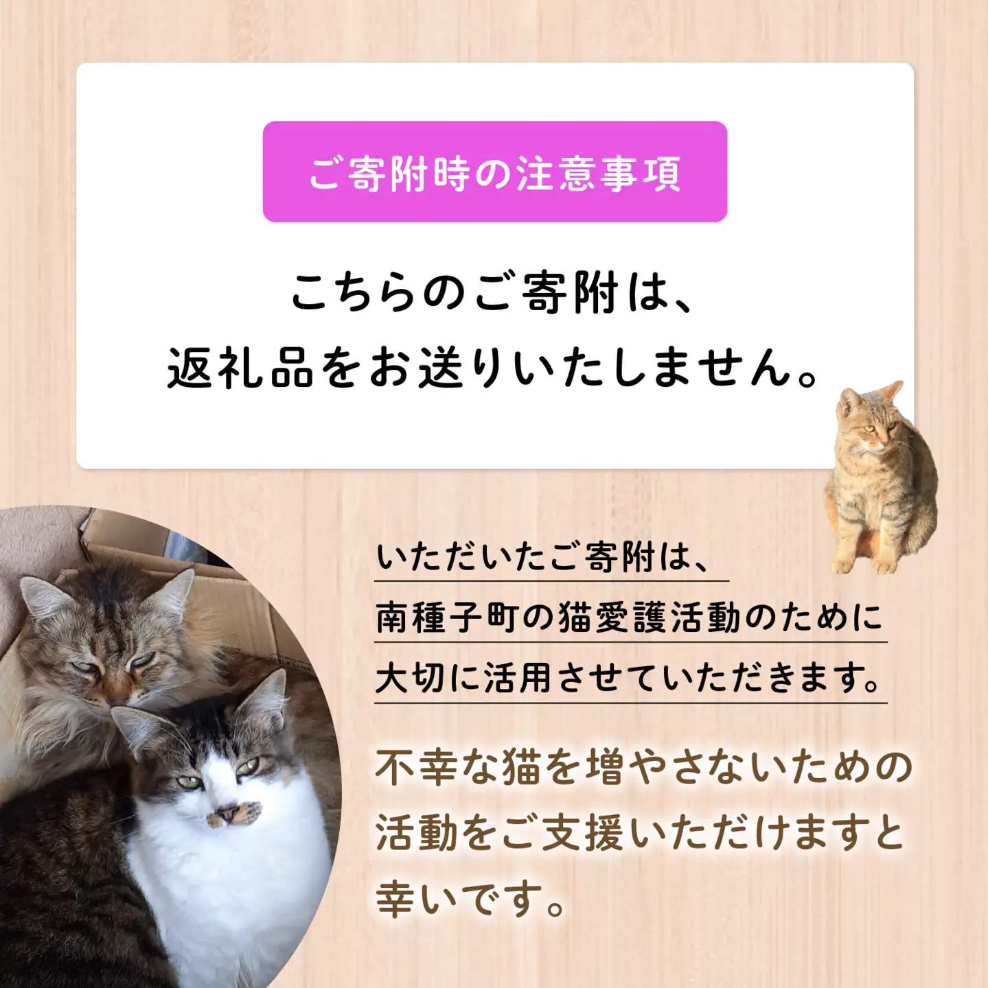 【ふるさと納税】《返礼品なし》 猫愛護活動支援 5,000円 猫ちゃん 猫 ねこ 動物 保護 愛護 保護活動 応援 支援 寄付 南種子町 鹿児島 かごしま 送料無料 【南種子町猫の適正飼養を推進する会】