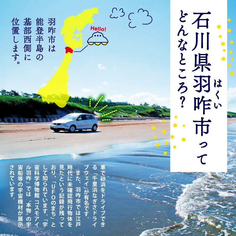 【令和8年産】 精米 コシヒカリ 20kg こしひかり 白米