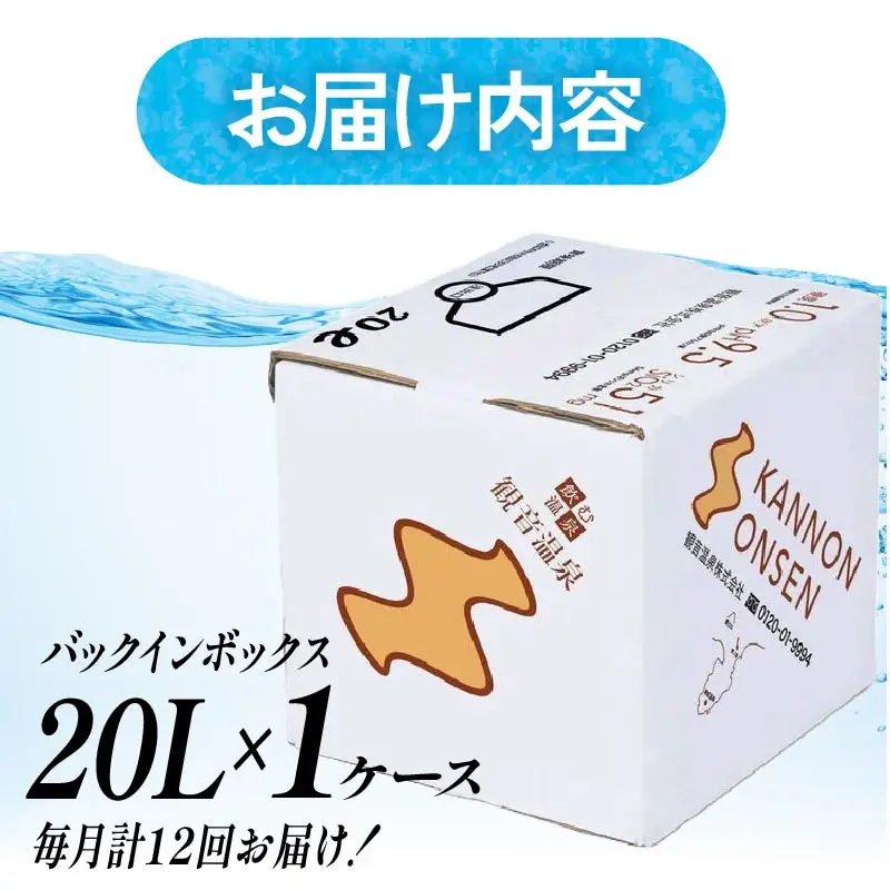 飲む温泉水 観音温泉 20L 1箱 定期便12回 毎月 バックインボックス