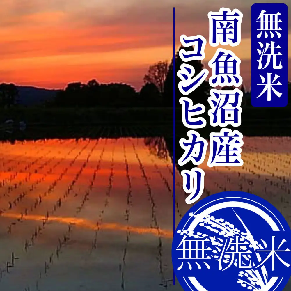 【令和8年産 新米】【1Kg】無洗米南魚沼しおざわ産コシヒカリ【銘柄米 無洗米 こしひかり コシヒカリ 魚沼産 新潟米 お米 米 ごはん】【2026年10月上旬より1ヶ月以内に順次発送予定】