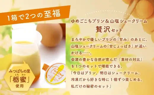 会津ゆめごこちセット卯 ( SP63 ) （ 会津山塩のシュークリーム 約70g × 6個 ／ ゆめごこちプリン 約100g × 3個 ） お菓子 菓子 おかし スイーツ プリン ぷりん シュークリーム 洋菓子 焼菓子 山塩シュークリーム セット 詰め合わせ 食べ比べ