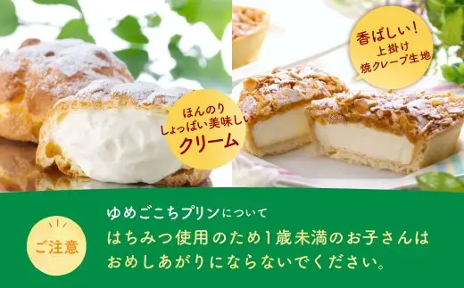 会津ゆめごこちセット雅 （ 会津山塩のシュークリーム 約70g × 4個  ／ ゆめごこちプリン 約100g × 4個 ／ ゆめごこちパイ 約40g × 6個 ） お菓子 菓子 おかし スイーツ プリン ぷりん シュークリーム パイ 洋菓子 焼菓子 生クリーム カスタード カラメルジュレ セット 詰め合わせ 食べ比べ