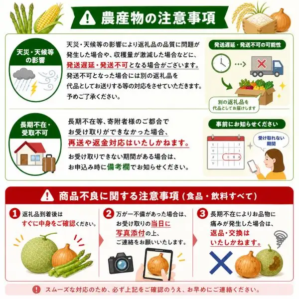 野菜定期便 3回便【令和9年産先行予約】本山農場の野菜定期便（小）野菜 セット