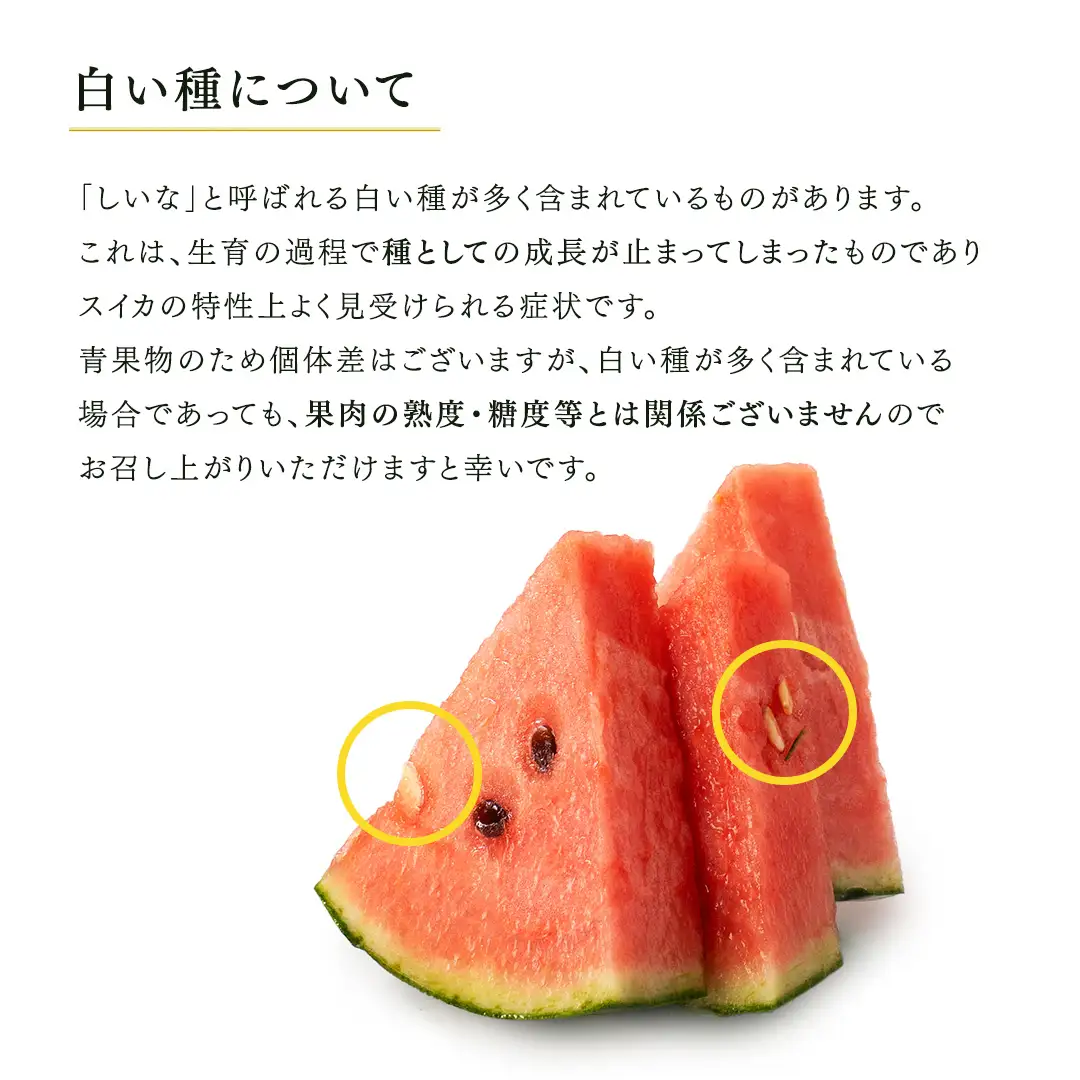 ≪ 2027年 収穫分 ≫ 2026年誕生の新品種 小玉スイカ あまRich 2玉 先行予約 藤田益弘 国産 小玉 スイカ 小玉すいか こだますいか こだまスイカ 小玉すいか 西瓜 フルーツ 果物 くだもの 旬 ギフト 贈答 茨城県 桜川市 [CQ010sa]