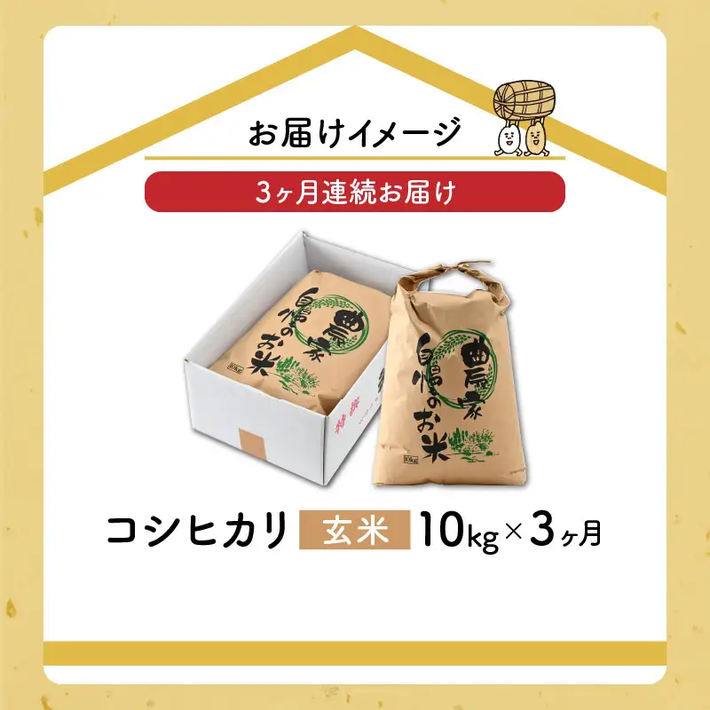 米 令和8年産 コシヒカリ玄米 定期便 10kg×3回[C-040009]