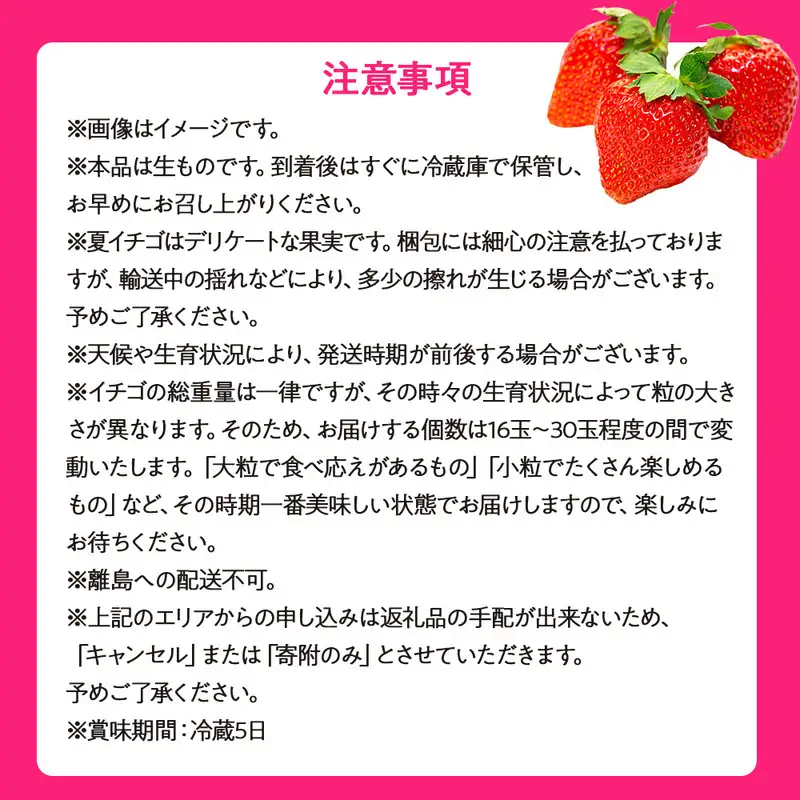 いちご　夏いちご　夏秋いちご詰め合わせ