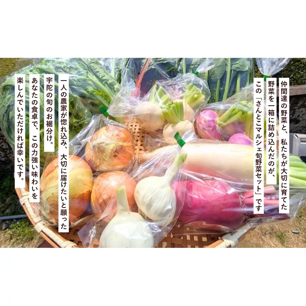 農家が惚れた「さんとこマルシェ」旬野菜セット（12-15品） / サムズアップ農園 農家 さんとこマルシェ ふるさと納税 ベジタリアン 野菜セット 旬の野菜 詰め合わせ 奈良県 宇陀市 