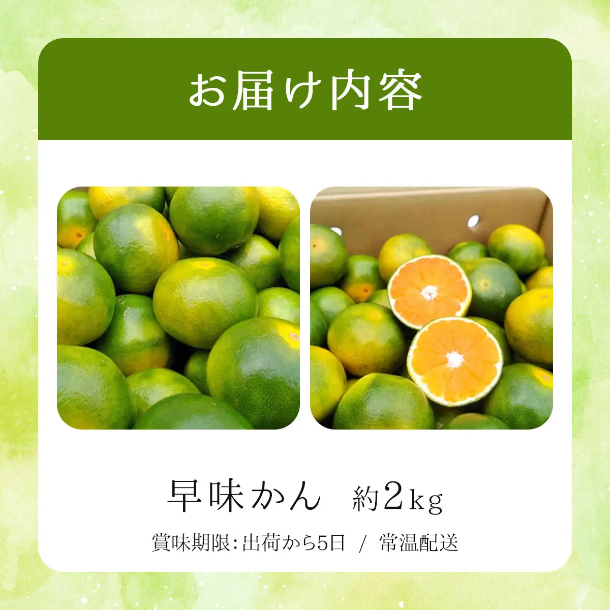 【先行予約】福岡限定!オリジナルブランドみかん「早味かん」約2kg(篠栗町)【NF003】