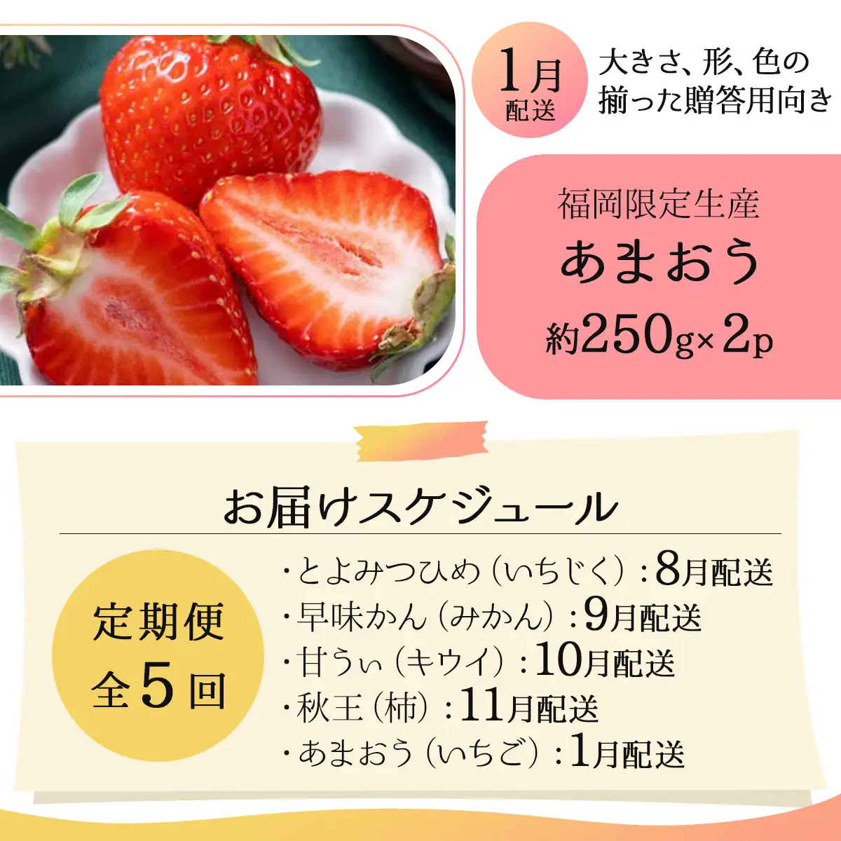 ＜5回定期便＞福岡ブランドの旬のフルーツ定期便 (篠栗町)｜イチジク ミカン キウイ 柿 イチゴ【NF019】
