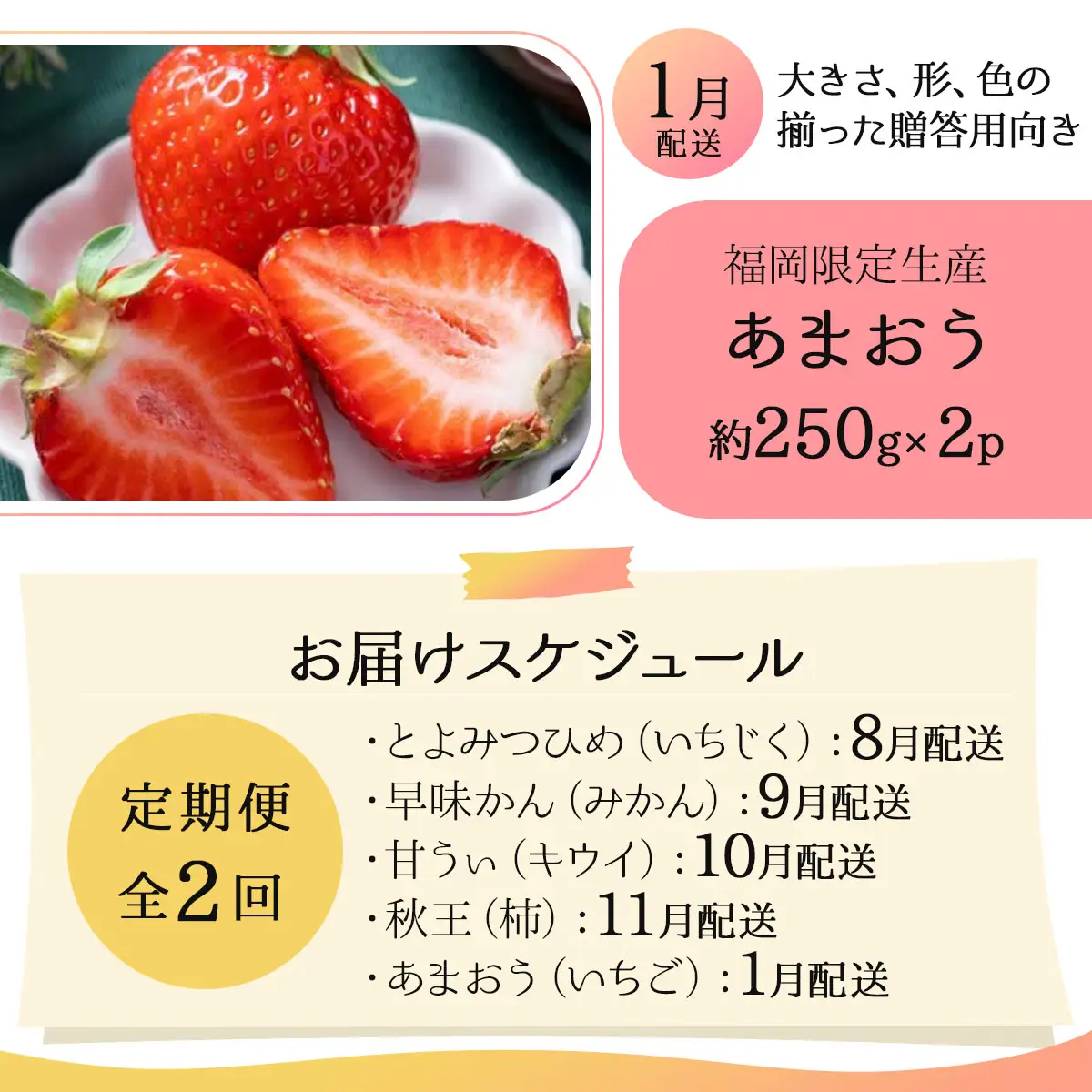 ＜2回定期便＞福岡ブランドの旬のフルーツ定期便 (篠栗町)｜イチジク ミカン キウイ 柿 イチゴ【NF022】