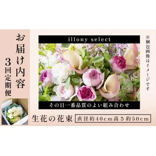 季節の花束 3回定期便 《illony select》直径約40cm