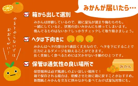 【訳あり】熊本県産 温州みかん 約16kg 味采市場