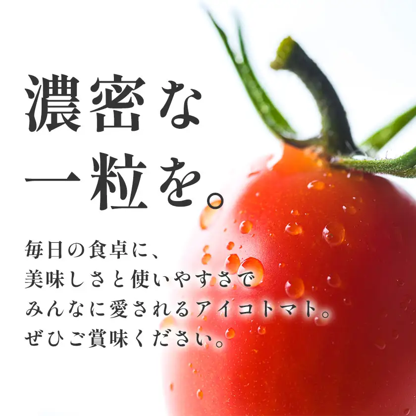 トマト アイコトマト ミニトマト 2kg GOGO農園 
