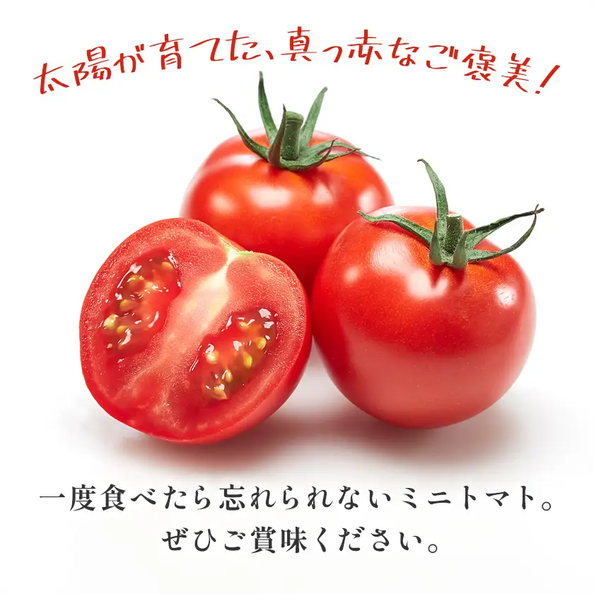 トマト キャロルセブン ミニトマト 2kg GOGO農園 