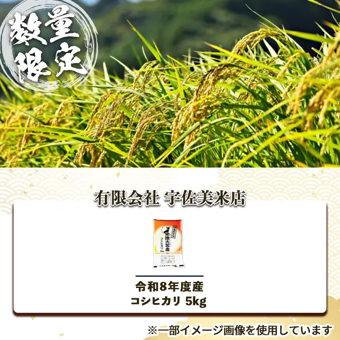 常陸大宮産 コシヒカリ 5kg 茨城県産 令和8年産 精米 【米】【ho1750】