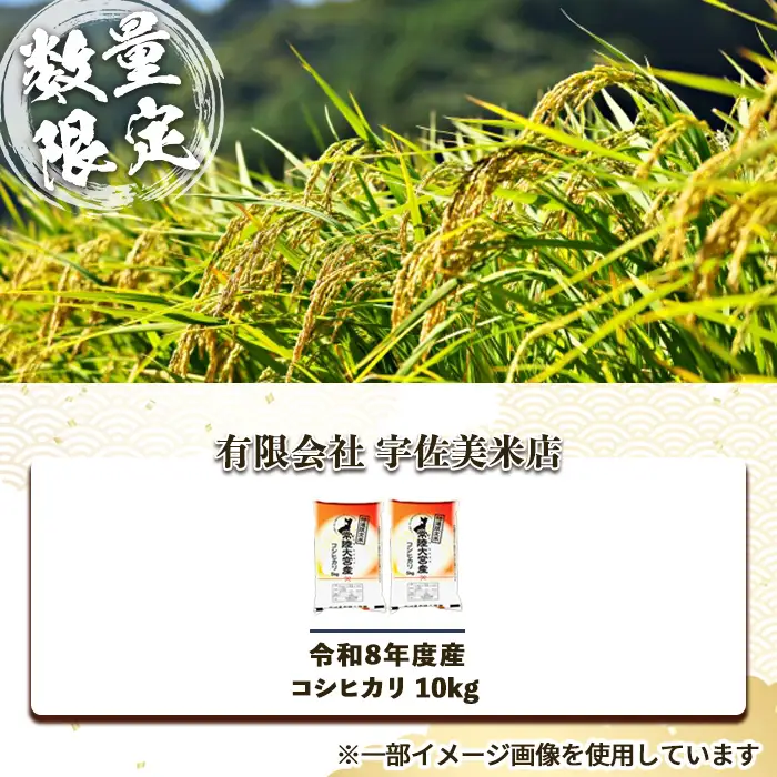 常陸大宮産 コシヒカリ 10kg（5kg×2） 茨城県産 令和8年産 精米 【米】【ho1751】