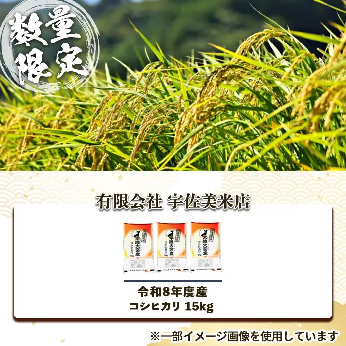 常陸大宮産 コシヒカリ 15kg（5kg×3） 茨城県産 令和8年産 精米 【米】【ho1752】