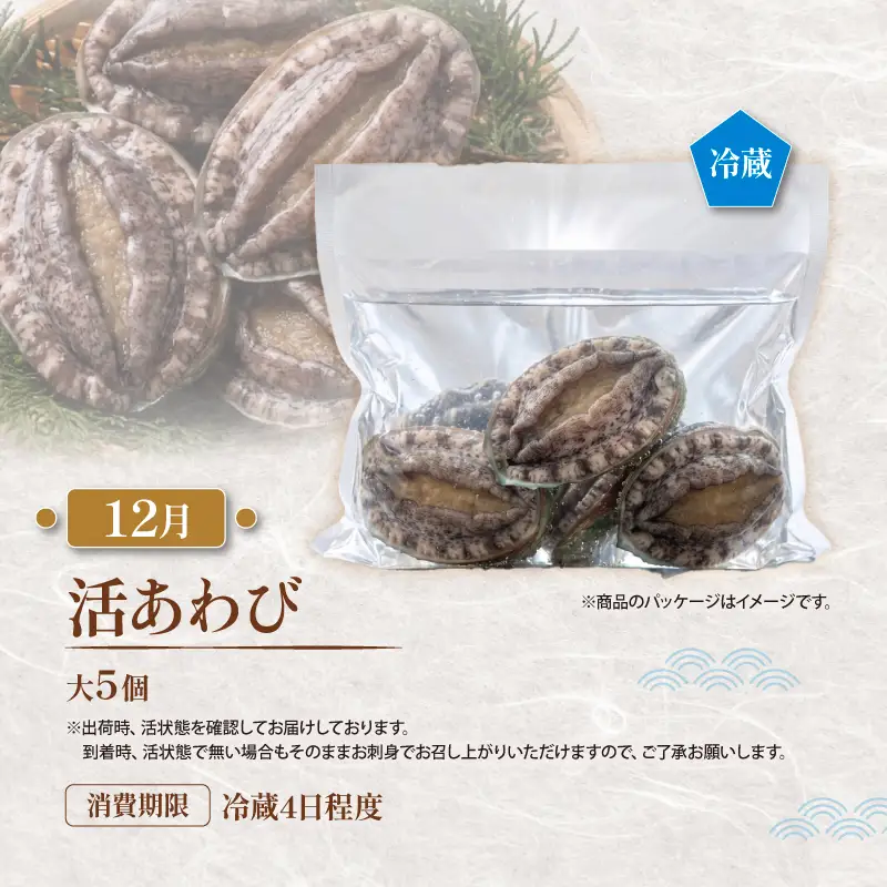 【全5回 大船渡ごちそう定期便】 旬をお届け 大船渡1年満喫！！