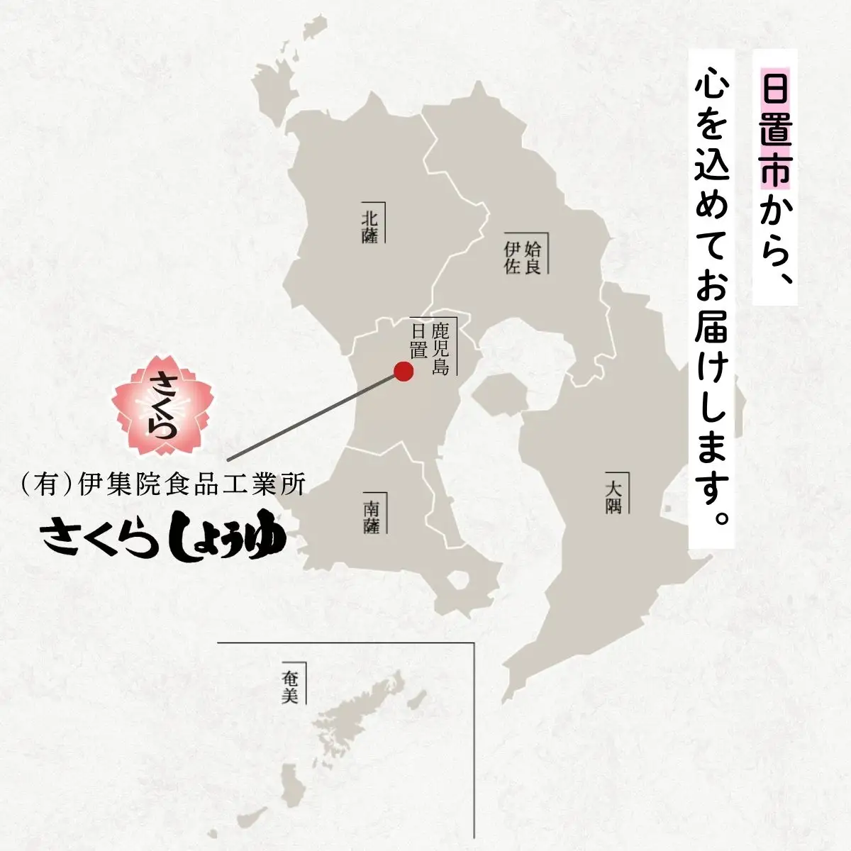 No.1389 さくら白だし めんつゆセット(白だし500ml×1本・めんつゆ500ml×1本) 九州 鹿児島 麺 つゆ 麺つゆ だし 出汁 白だし 白出汁 調味料 そうめん うどん ひやむぎ ストレート 鰹ダシ 鰹だし 鰹 さくらしょうゆ 鹿児島醤油 セット【伊集院食品工業所】