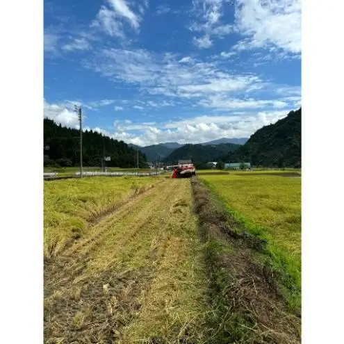 【令和8年産 新米先行受付】魚沼産コシヒカリ 特別栽培米 （精米）2kg 米 こしひかり 魚沼市