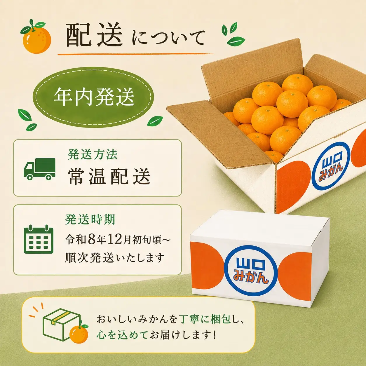 先行予約 年内発送 ふくちゃんちのみかん サイズミックス 約2kg  令和8年12月初旬～順次発送