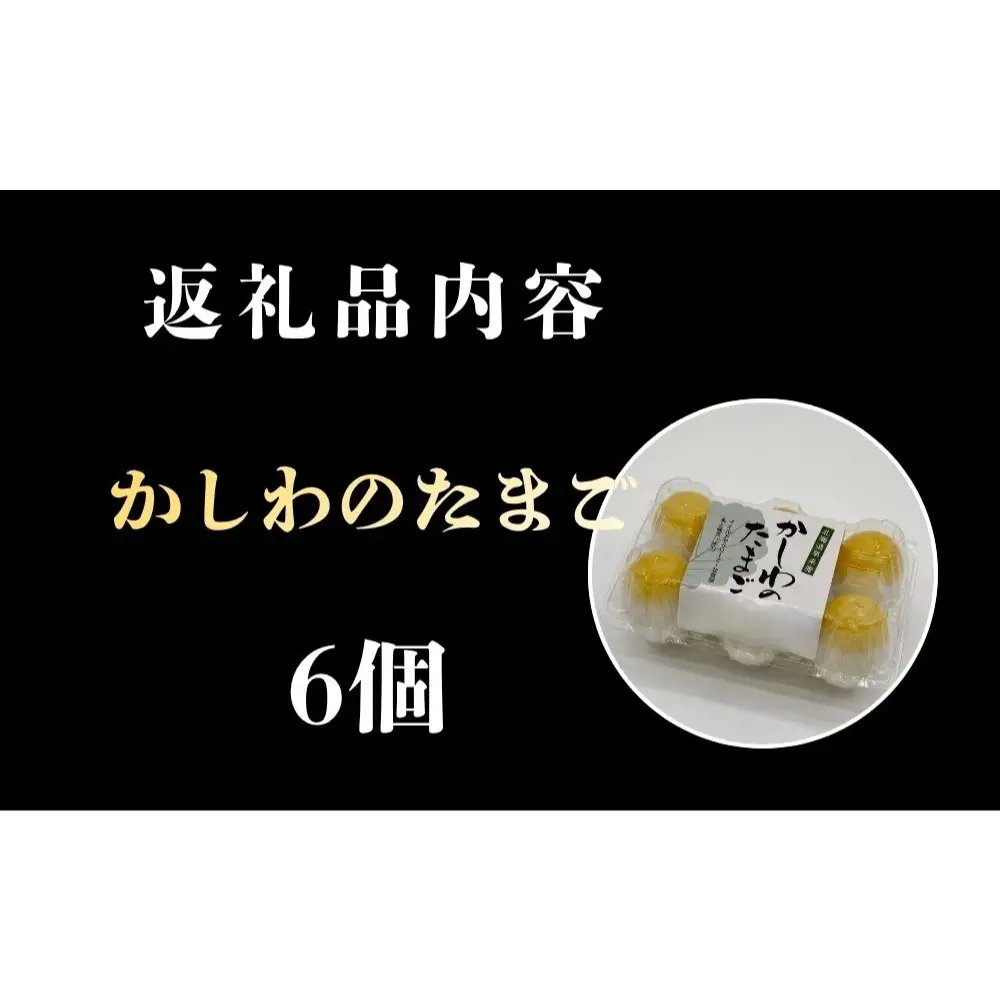 【名物】かしわのたまご 6個 燻製 スモーク 半熟 卵 北海道 安平町 〈スモークアップジャパン〉 自社開発 燻製機 冷蔵配送  お歳暮 お中元ギフト ご褒美 　