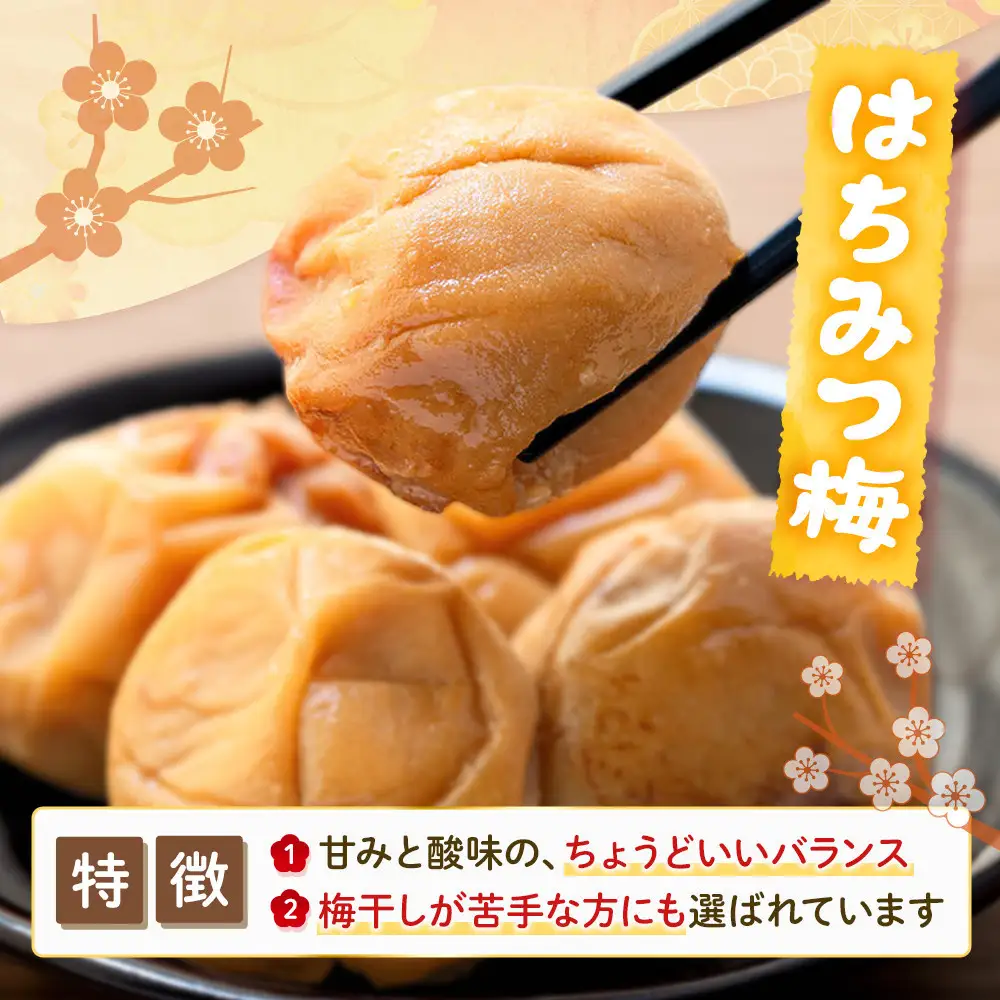訳あり 紀州南高梅 小梅 まごころ はちみつ梅 90g ×4パック 減塩5％ ［TR9w］