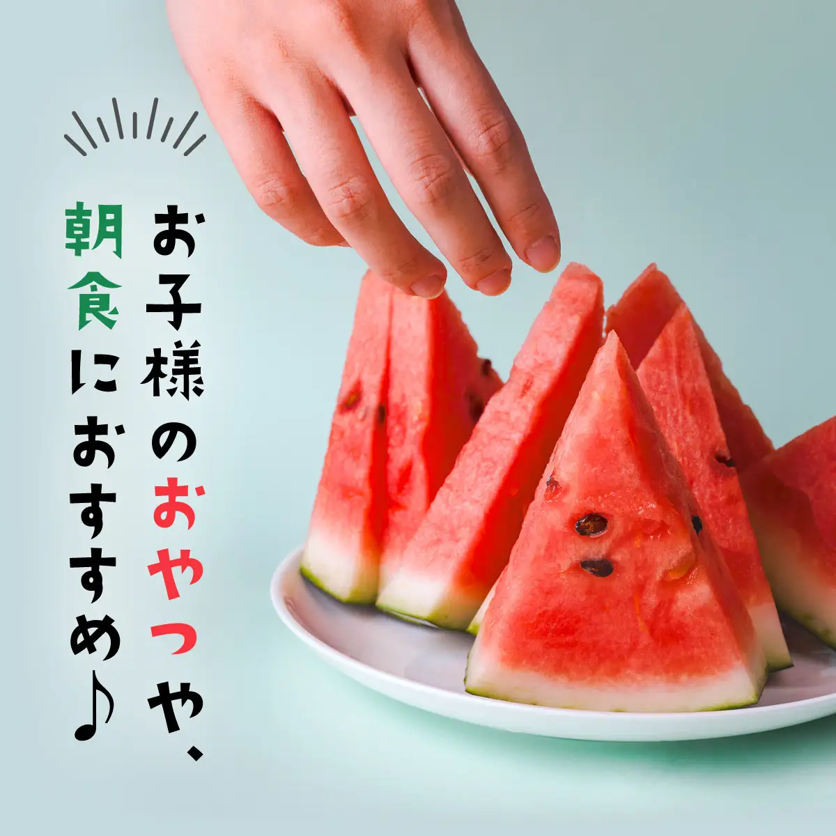 【期間限定】富里秋スイカ ２L １玉 / すいか スイカ 西瓜 千葉県 富里市 果物 フルーツ 採れたて とれたて 産地直送 農家直送 千葉県産 ちば 千葉すいか 千葉スイカ 富里 富里すいか 富里スイカ 甘い あまい 美味しい おいしい 大玉 大玉すいか 大玉スイカ TMF012