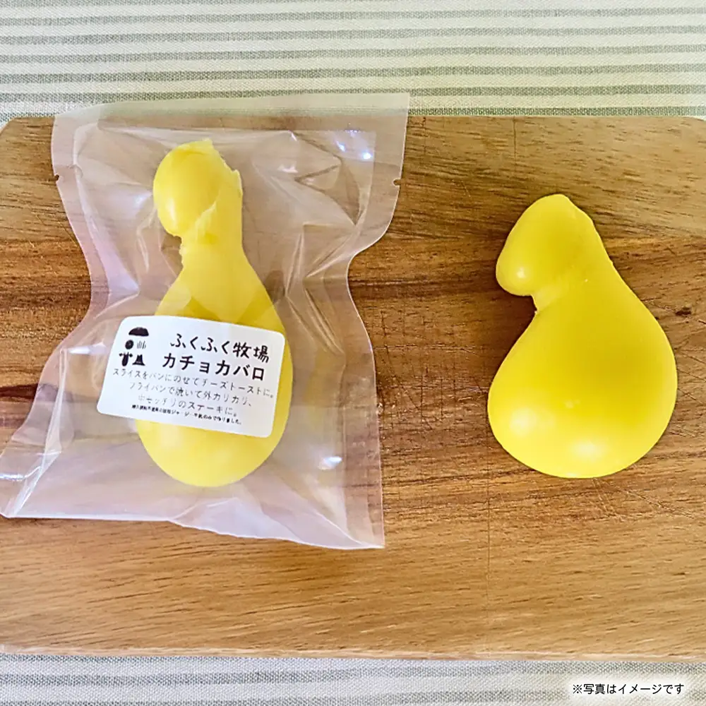 ふくふく牧場 ふくふくチーズ 5点セット （5種 合計約370g） | 国産 チーズ グラスフェッド 放牧 【牛飼いの手作りチーズ】 詰め合わせ バラエティ ギフト 贈り物 プレゼント