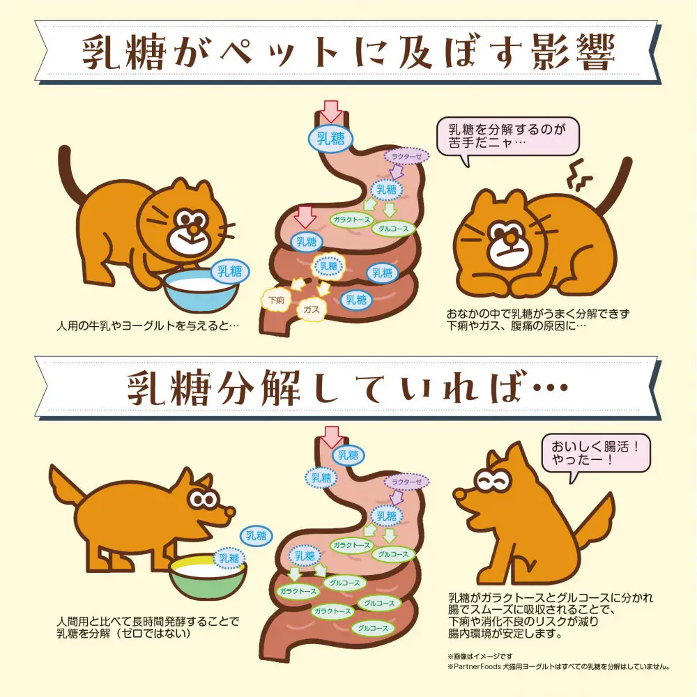 犬猫ヨーグルト　ドリンク　30g　8個入り×2箱