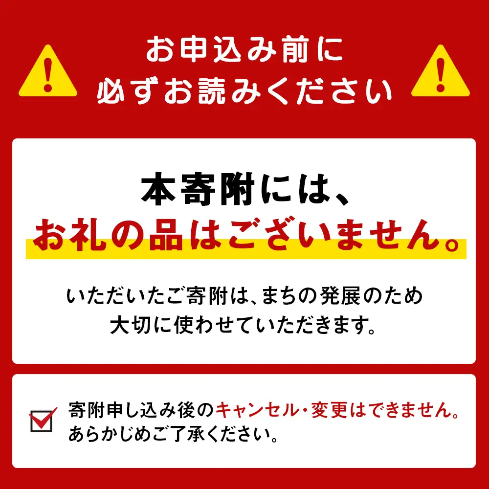 〈返礼品なし〉想いをつなぐ 子ども未来プロジェクト～あなたの想いが、子どもたちの未来をひらく～