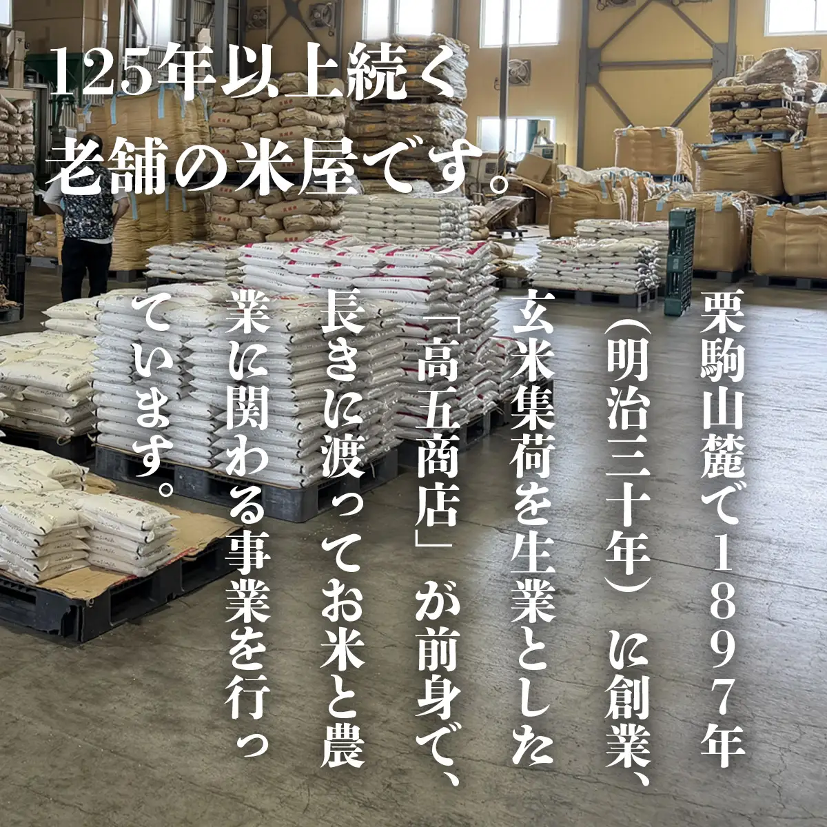 新米 ひとめぼれ 5kg 新米 【先行予約】